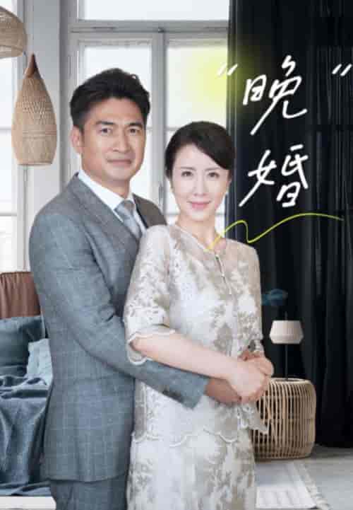 晚婚(65集全)刘美希-初遇资源网