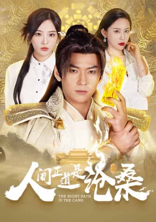 人间正道是沧桑(65集全)张昊天&夏语冰-初遇资源网