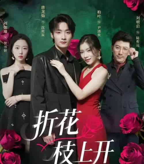折花枝上开（51集全）唐龙灿＆柏叶-初遇资源网