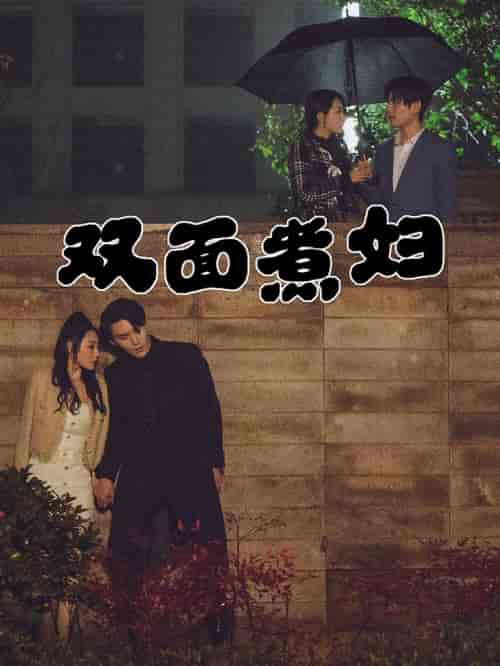 双面煮妇(99集)-初遇资源网