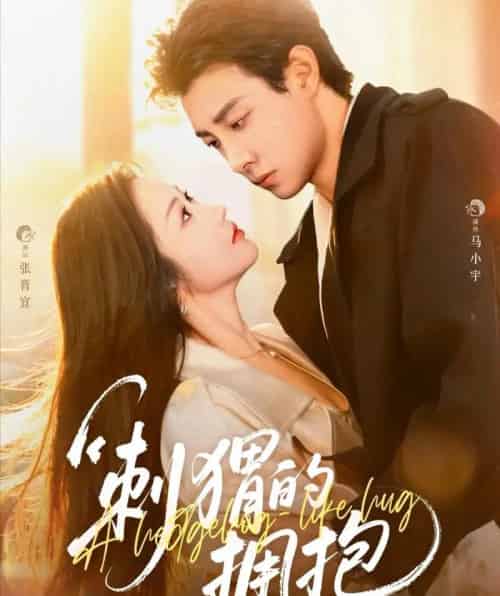 刺猬的拥抱(71集全)马小宇&张晋宜-初遇资源网