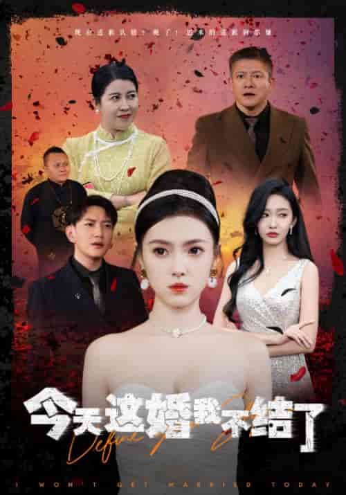 今天这婚我不结了(39集全)沈四海&唐诗诗-初遇资源网