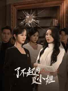 了不起的夏小姐（45集全）李胜楠＆王已歌-初遇资源网