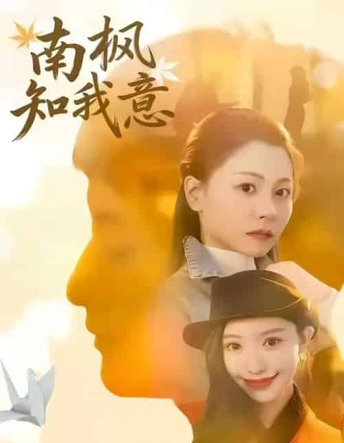 南枫知我意（41集全）徐梦瑶＆黄跃峰-初遇资源网