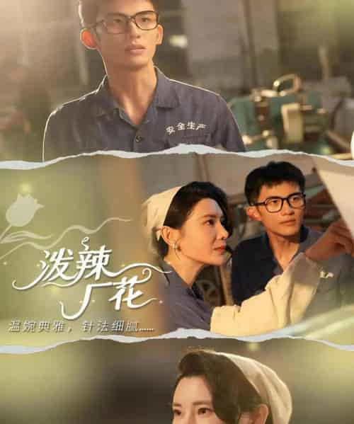 泼辣厂花(68集全)黄怀霆&陈芊淇-初遇资源网