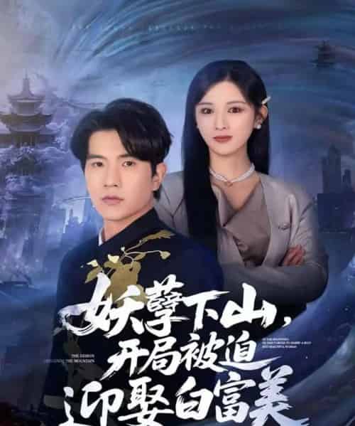 妖孽下山,开局被迫迎娶白富美(81集全)李致逸&赵慧-初遇资源网