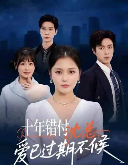 十年错付：沈总，爱已过期不候（51集全）向云茜＆赵赫为＆三七-初遇资源网