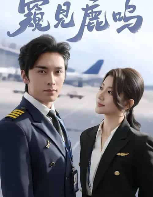 窥见鹿鸣（60集全）王博＆王如玮-初遇资源网