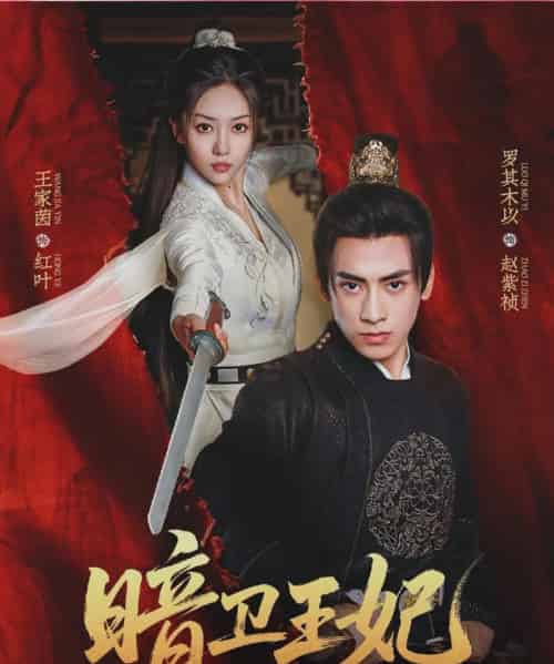 暗卫王妃（60集）王家茵＆罗其木以-初遇资源网