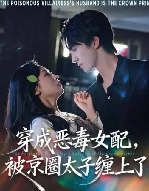 穿成恶毒女配，被京圈太子缠上了（56集全）冯文栋＆孙懿飞-初遇资源网