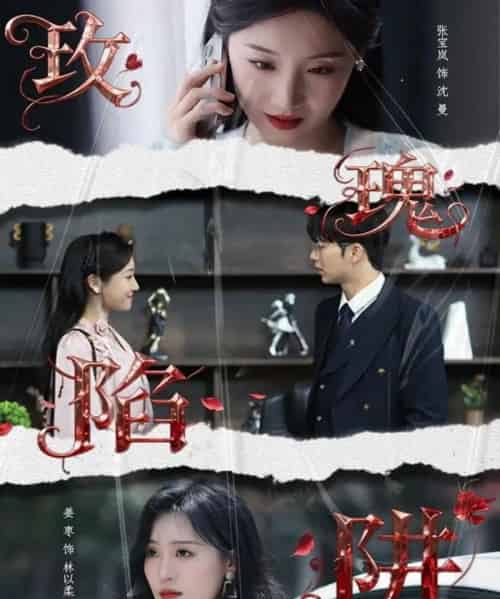 玫瑰陷阱（40集全）陈瑞＆张宝岚-初遇资源网