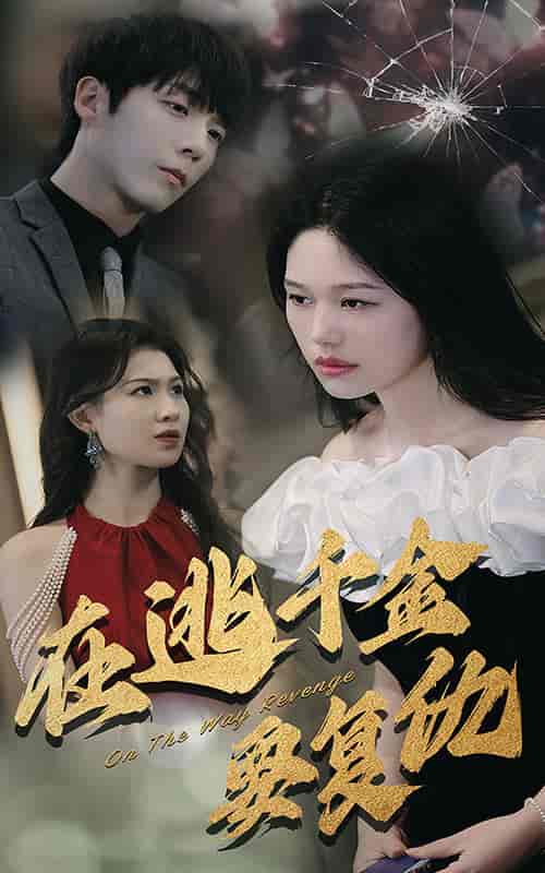在逃千金要复仇（98集）-初遇资源网