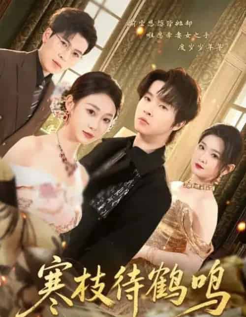 寒枝待鹤鸣（70集全）鲁紫萱＆邓嘉伦-初遇资源网