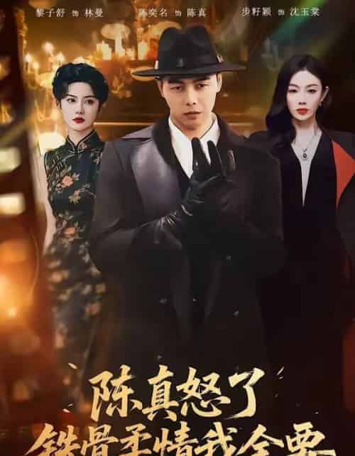陈真怒了铁骨柔情我全要（74集全）陈奕名＆黎子舒-初遇资源网