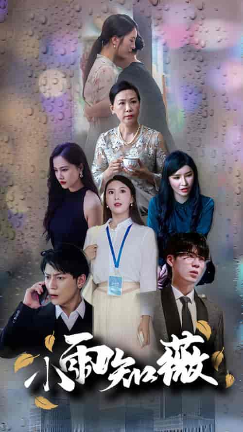 小雨知薇（80集）-初遇资源网