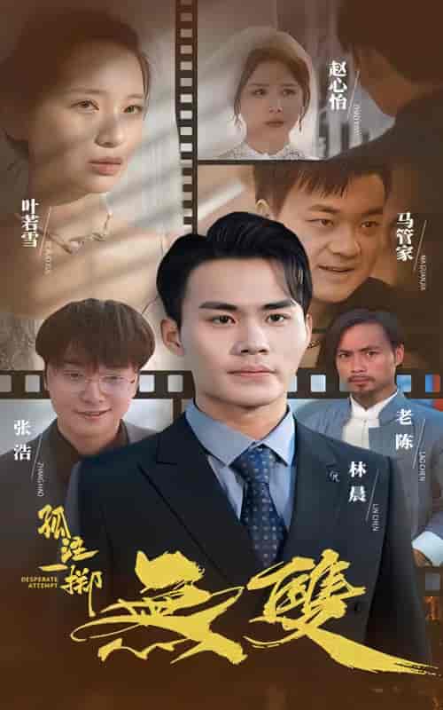 孤注一掷之无双（100集）-初遇资源网