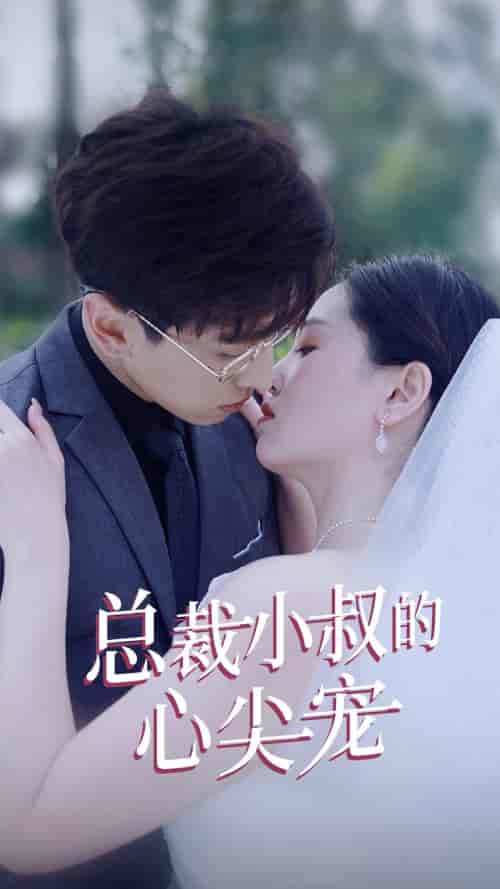 总裁小叔的心尖宠（80集）-初遇资源网