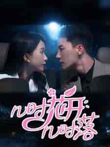 几时花开几时落（66集全）-初遇资源网