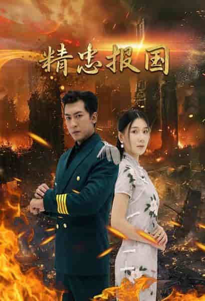 精忠报国(61集)-初遇资源网