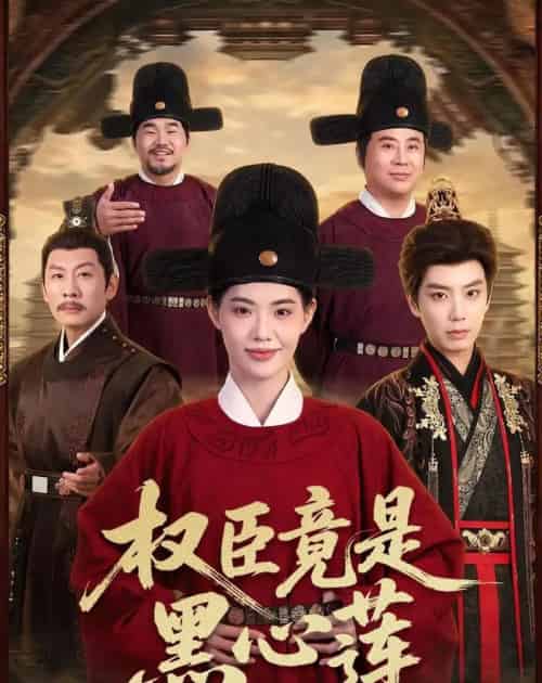 权臣竟是黑心莲(61集全)唐书亚&董洁-初遇资源网