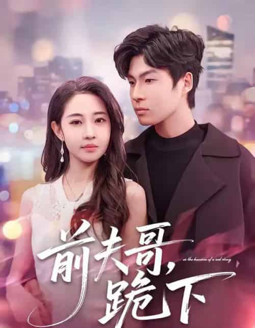 前夫哥，跪下（58集全）米乐妮＆鲁文涵-初遇资源网