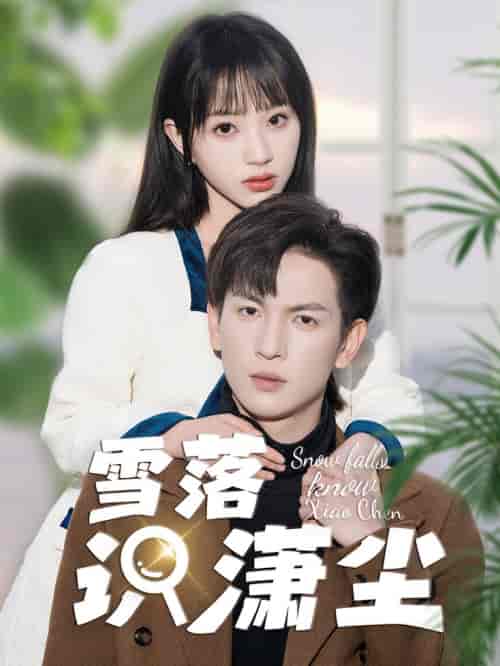 雪落识潇尘（80集）-初遇资源网