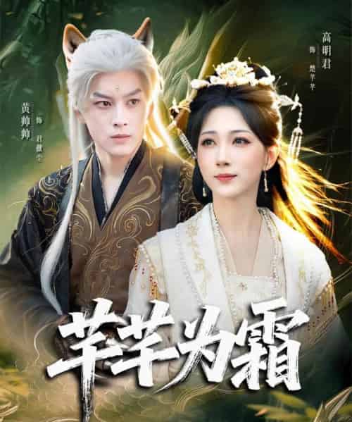 芊芊为霜（80集全）黄帅帅＆高明君-初遇资源网