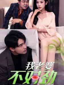 我老婆不对劲（34集全）林琦婷-初遇资源网