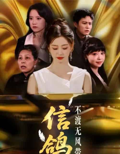 信鸽不渡无风带（65集）杨雨萌-初遇资源网