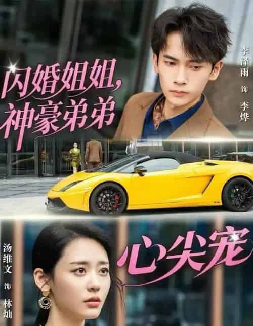 闪婚姐姐,神豪弟弟心尖宠(54集全)李泽雨&汤维文-初遇资源网