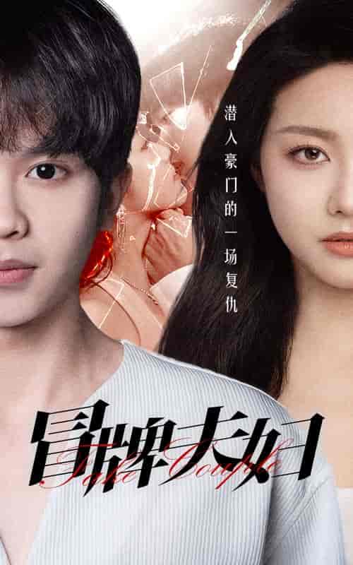 冒牌夫妇(73集)白雪茹 程嘉一-初遇资源网