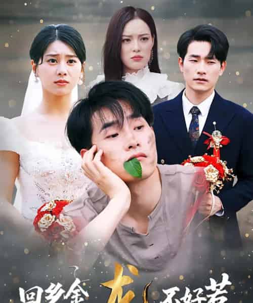 回乡金龙不好惹（74集）薛海威＆徐海文-初遇资源网