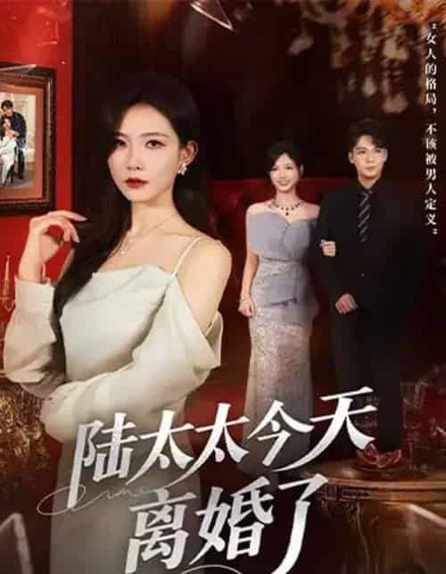 陆太太今天离婚了（59集全）刘灿＆丁敬一-初遇资源网