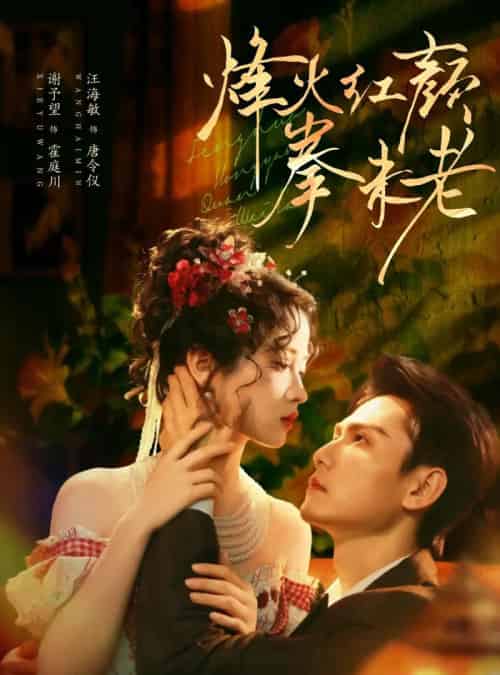 烽火红颜拳未老（53集全）谢予望＆汪海敏-初遇资源网