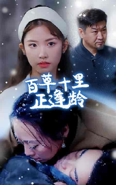 百草十里正逢龄（40集全）-初遇资源网