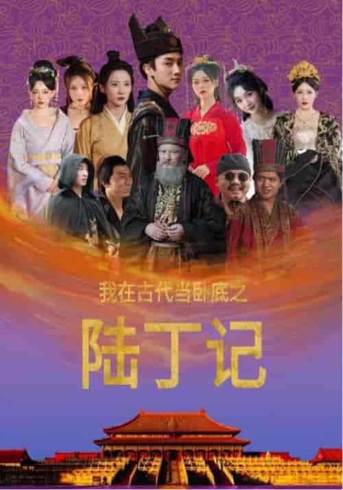 我在古代当卧底之陆丁记（97集全）-初遇资源网