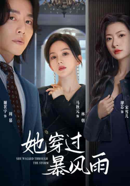 她穿过暴风雨（71集）马秋元-初遇资源网