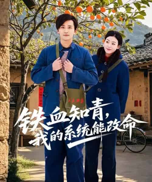 铁血知青，我的系统能改命（80集全）梅洋＆李文瑞-初遇资源网