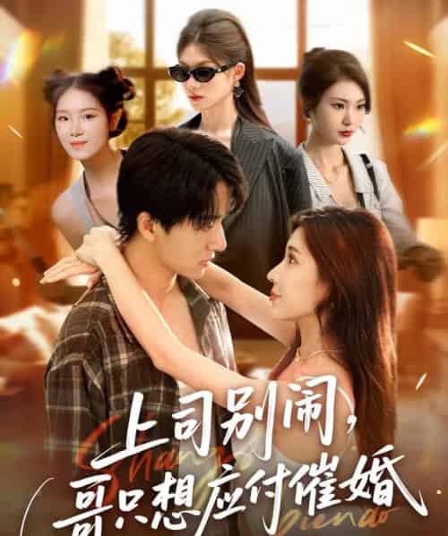 上司别闹哥只想应付催婚 （60集） 华雯＆张艺轩 （轩轩）-初遇资源网