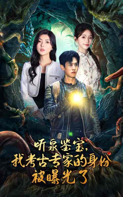 听泉鉴宝,我考古专家的身份被曝光了(62集全)-初遇资源网