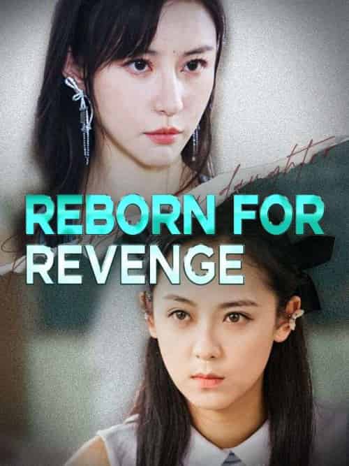 Reborn for Revenge(36 episodes)-初遇资源网