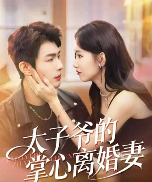 太子爷的掌心离婚妻（76集全）张培君＆杨云绚-初遇资源网