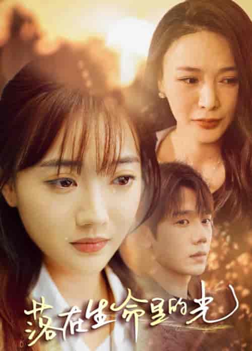 落在生命里的光(78集)-初遇资源网