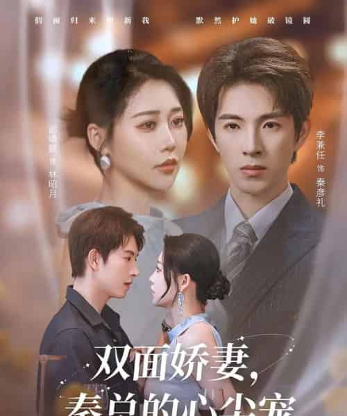 双面娇妻秦总的心尖宠＆夫人又野又飒（80集）李兼任＆邰靖懿-初遇资源网