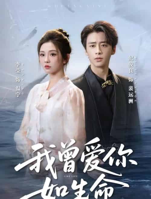 我曾爱你如生命＆宁夜向远（61集全）纪俊良＆李莹-初遇资源网