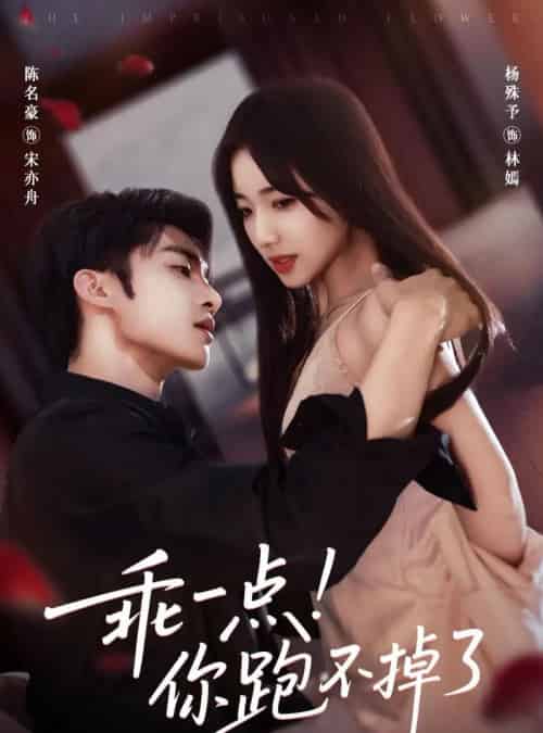 乖一点！你跑不掉了（85集全）陈名豪＆杨殊予-初遇资源网