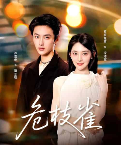 危枝雀（64集全）蒋袁娅蓉＆孙嘉俊-初遇资源网