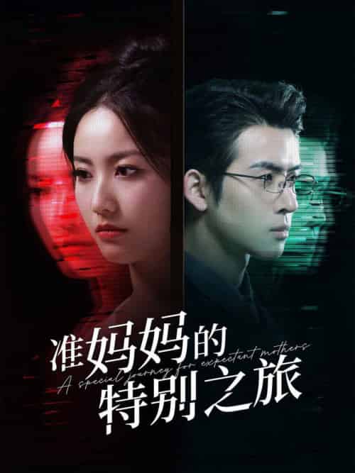 准妈妈的特别之旅（80集全）-初遇资源网