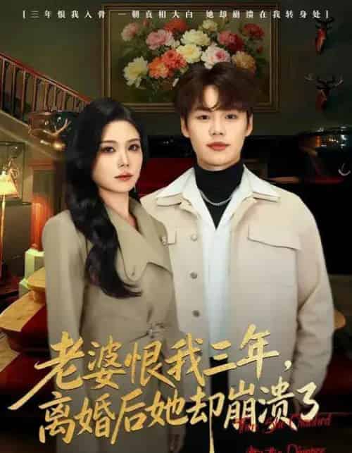 老婆恨我三年,离婚后她却崩溃了(80集全)魏森焱&杨韩柠-初遇资源网