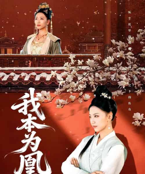 我本为凰（82集）傅宇航＆刘继徽-初遇资源网